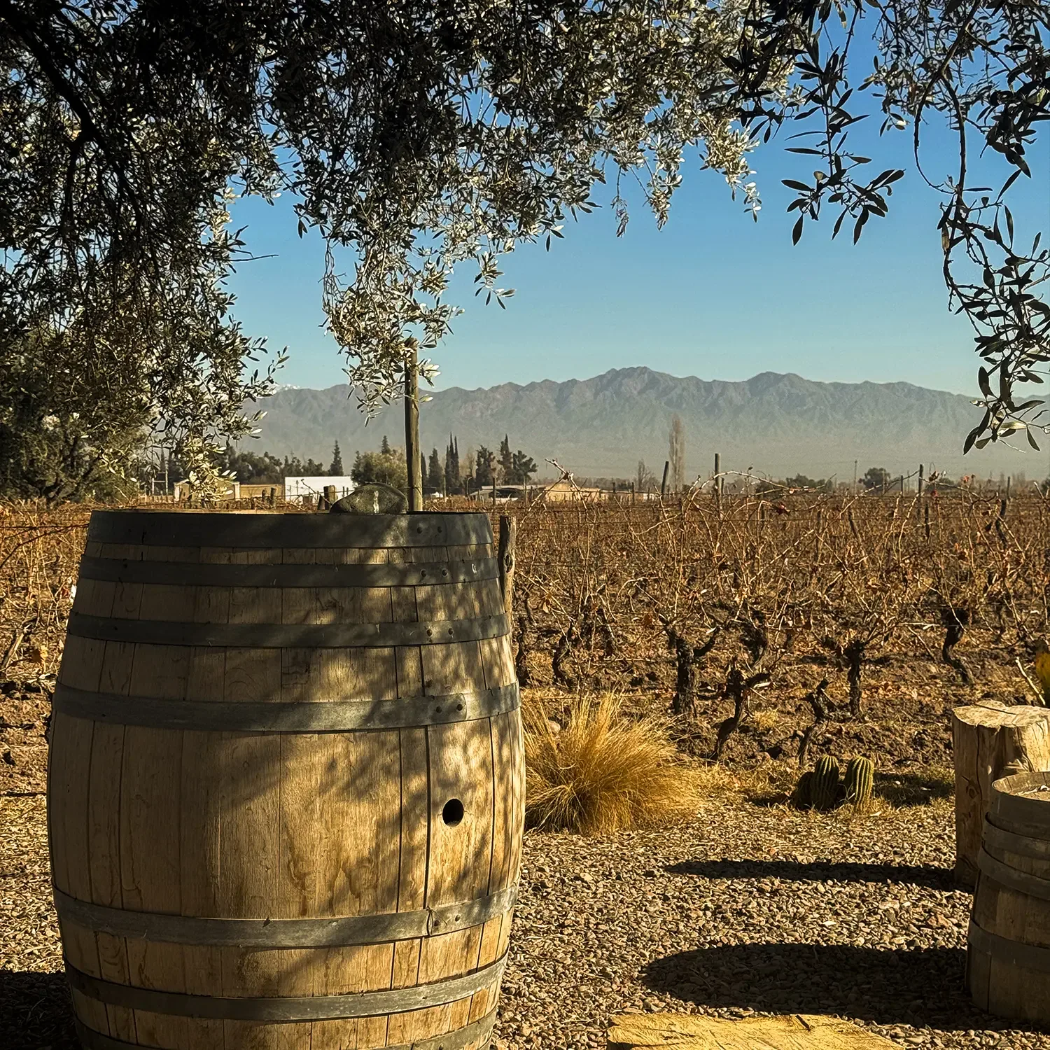Tour privado de bodegas en Maip&uacute;