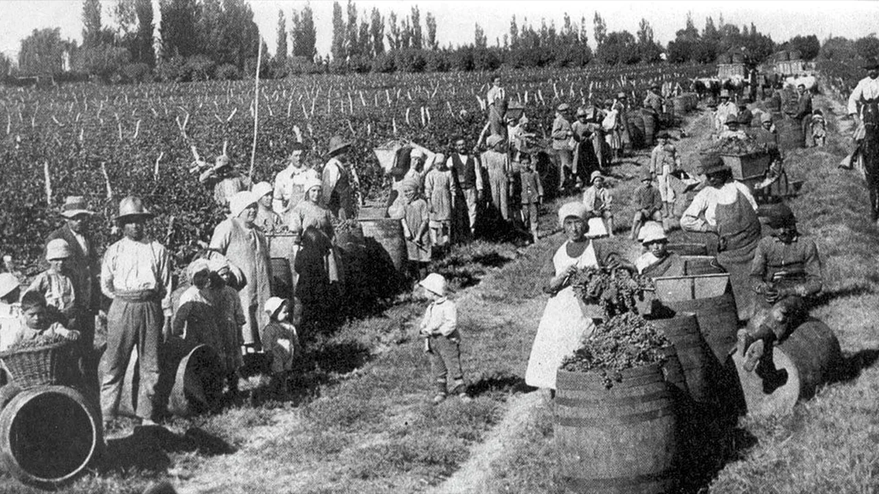 Vino alta gama Mendoza destacada