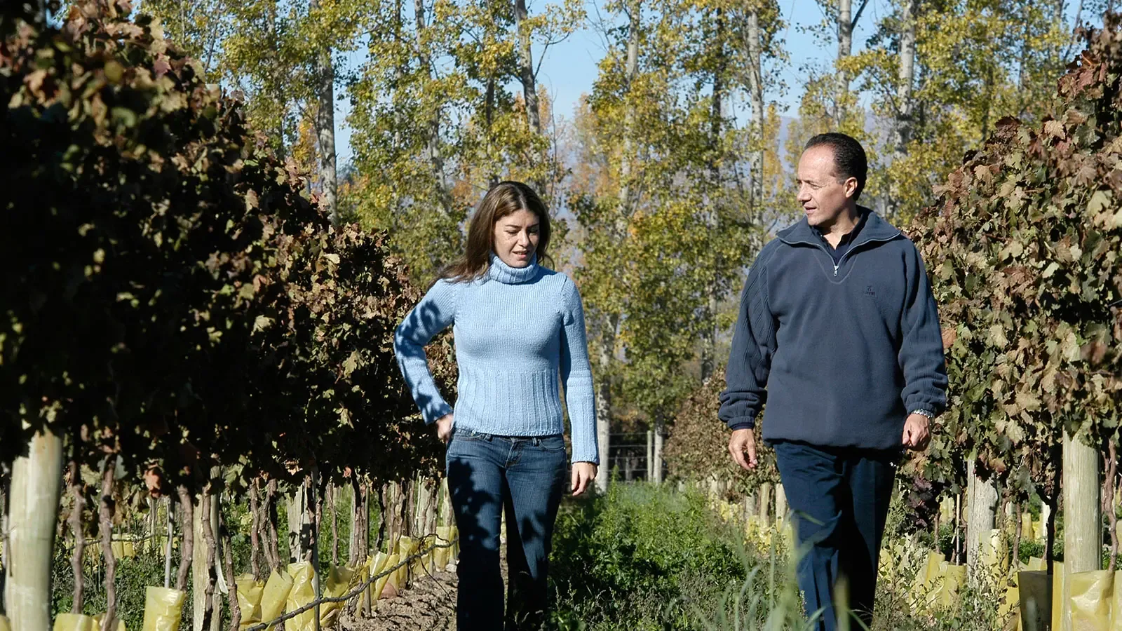 Conocer a los Enólogos de Mendoza: Acceso Directo en su Visita