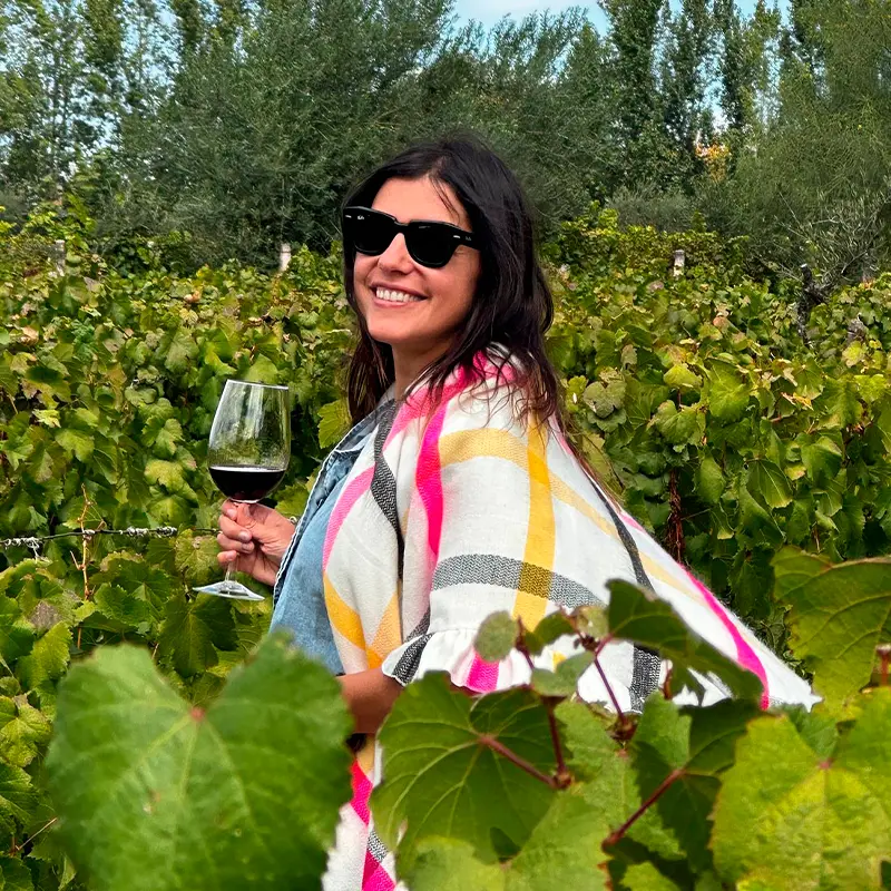 Wine Concierge en Mendoza: ¿Vale la Pena?