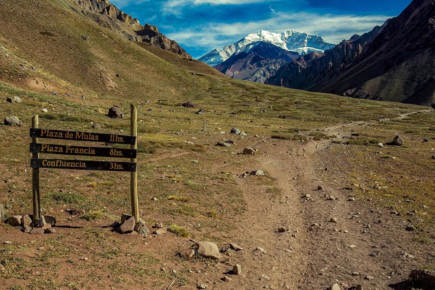 Mendoza en Invierno: La Temporada Secreta del Vino