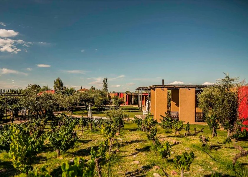 Casa Vigil, la bodega de Alejandro Vigil en Maipú