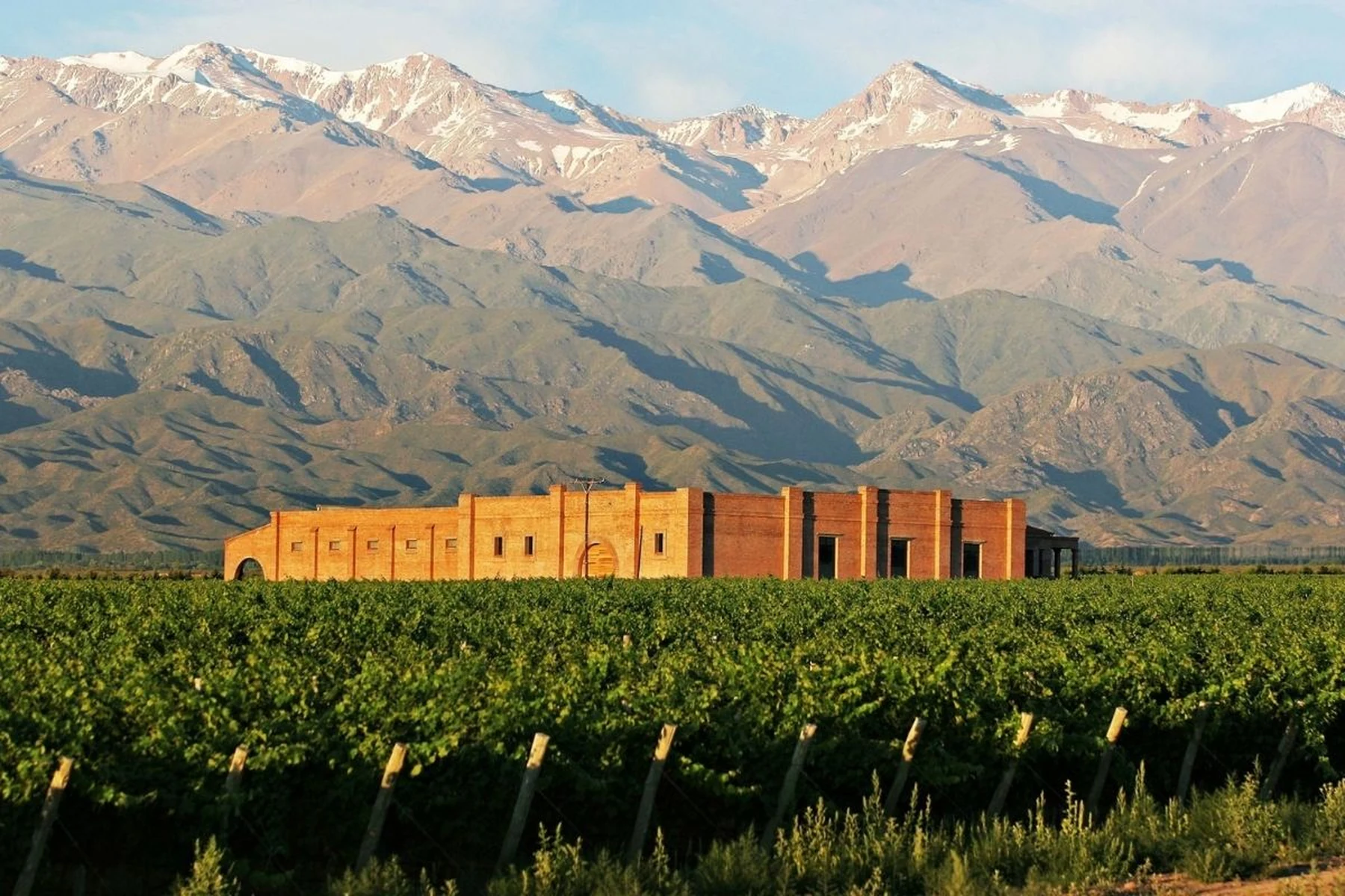 Bodega con vista a la cordillera de los Andes