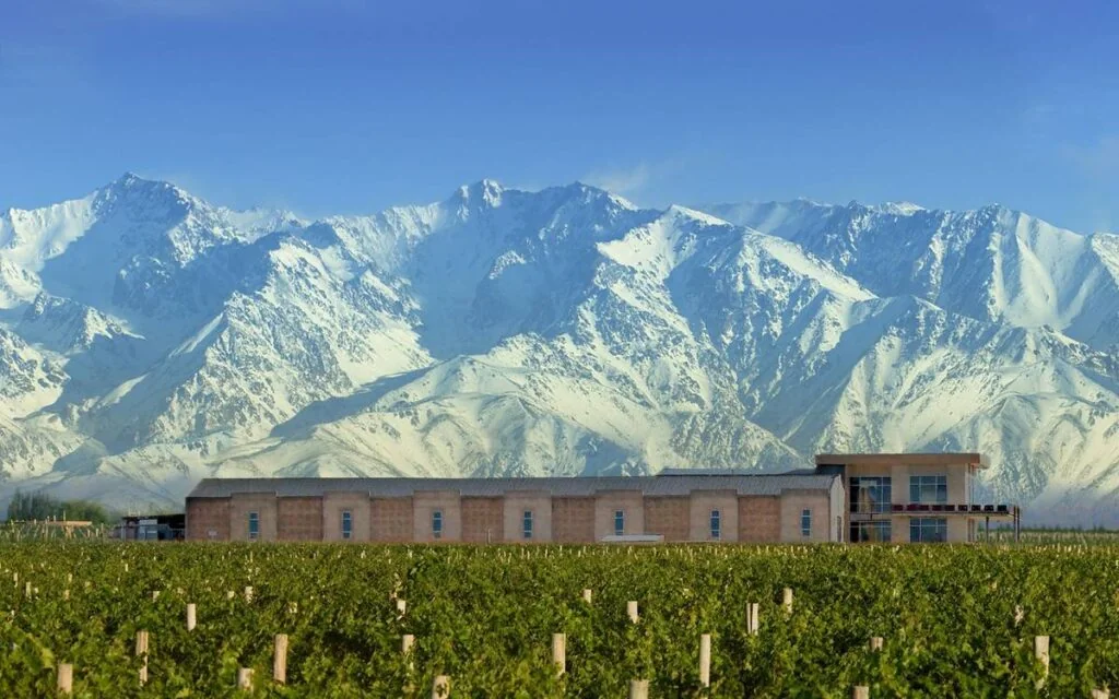 Domaine Bousquet: Pioneros Orgánicos en Gualtallary