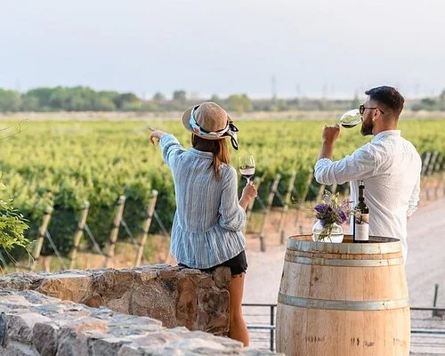 Degustaci&oacute;n guiada en una bodega de Maip&uacute;