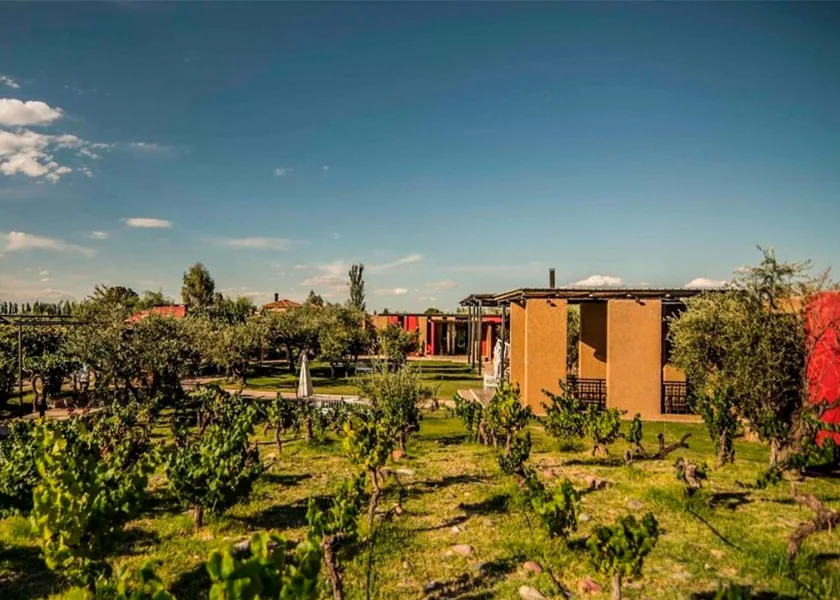 Vinos El Enemigo en Casa Vigil